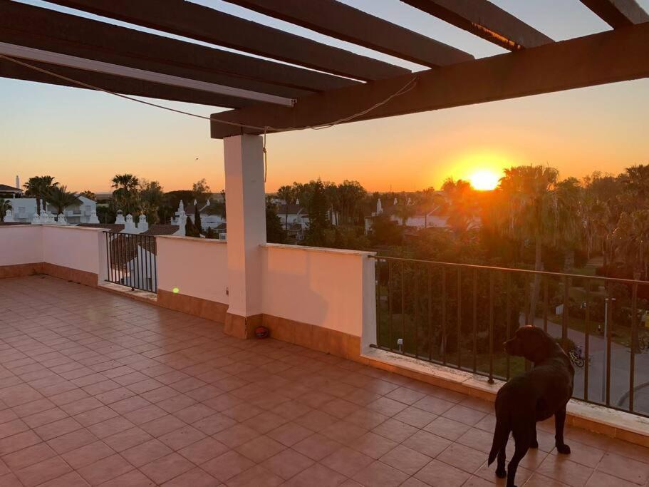 Atico Costa Ballena - Cadiz Rota Esterno foto
